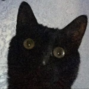 Meet your Posher, Logan